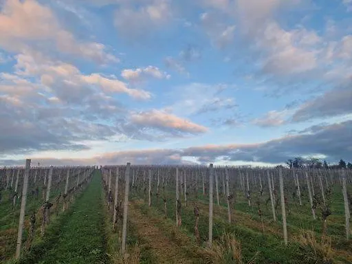 Gaestehaus Schniepp Stuttgart