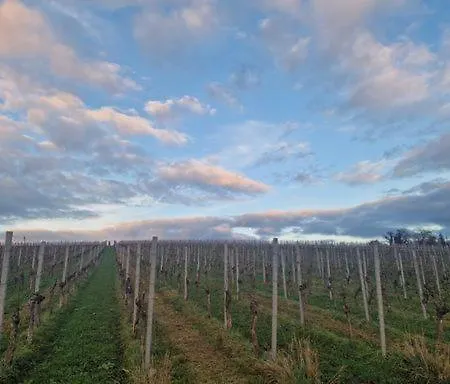 Gaestehaus Schniepp Stuttgart