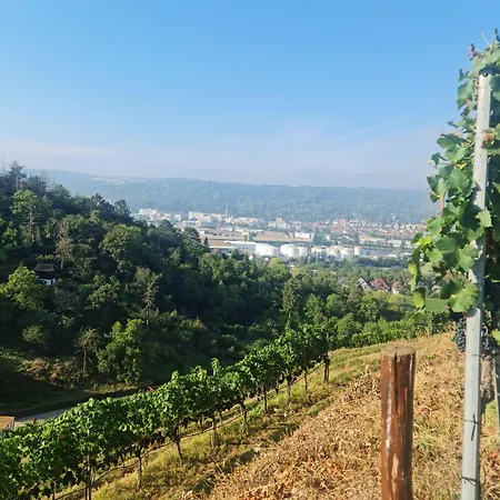 Hotel Gaestehaus Schniepp