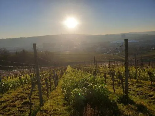 Gaestehaus Schniepp 호텔 2*