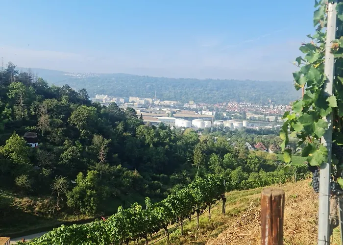 Hotel Gaestehaus Schniepp