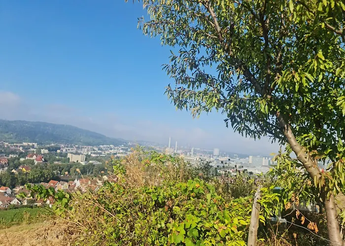 Gaestehaus Schniepp Hotel Stoccarda